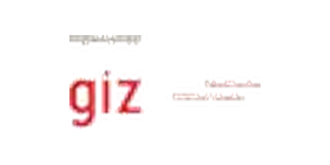 GIZ logo